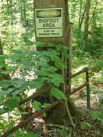 Bigfoot adventuring is just one of the experiences awaiting travel nurses in Washington