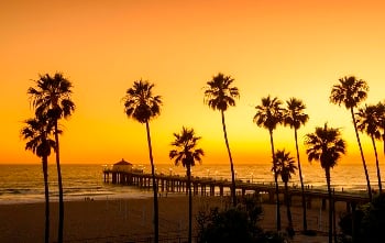 sunset with pier and palm trees over ocean sunset with pier and palm trees over ocean